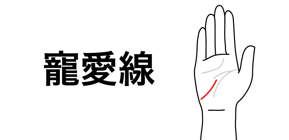 【寵愛線】が教える愛される運命と魅力の秘密|手相でわかる特別なご縁とは