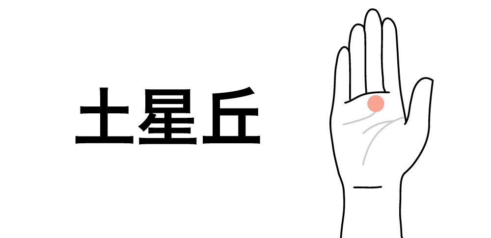 【土星丘】が教える安定と努力の運命|手相でわかる継続力と信頼の生き方