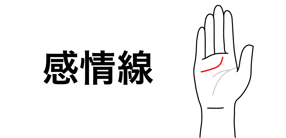 【感情線】恋愛運と人生の幸福度|手相でわかるあなたの心の形