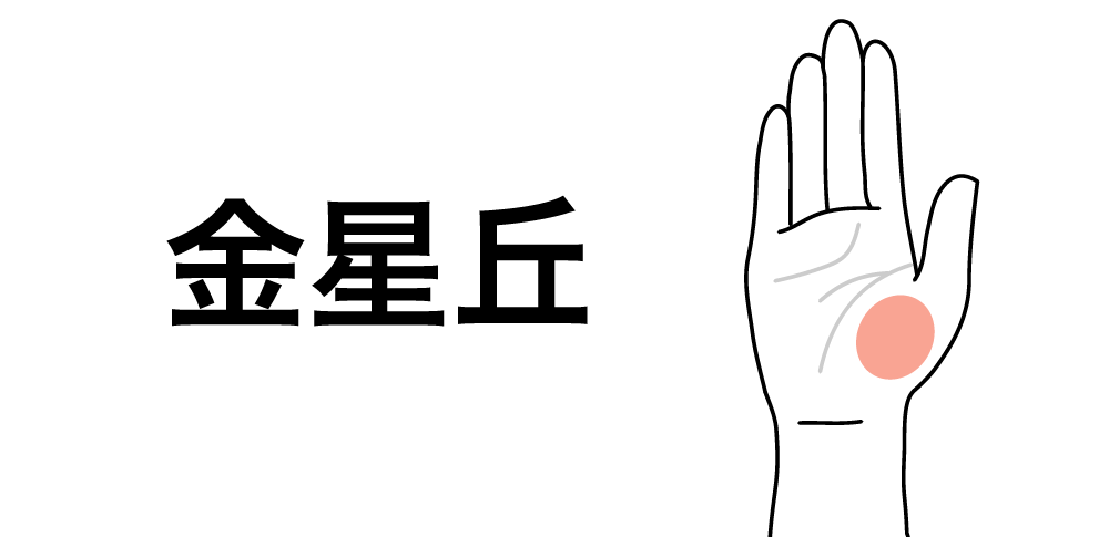 【金星丘】が教える愛と生命力のエネルギー|手相でわかるあなたの愛情運と魅力