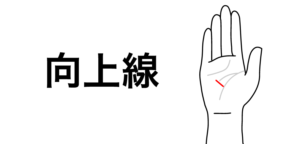 【向上線】が教える努力が報われる人生のサイン|手相でわかる成功への道