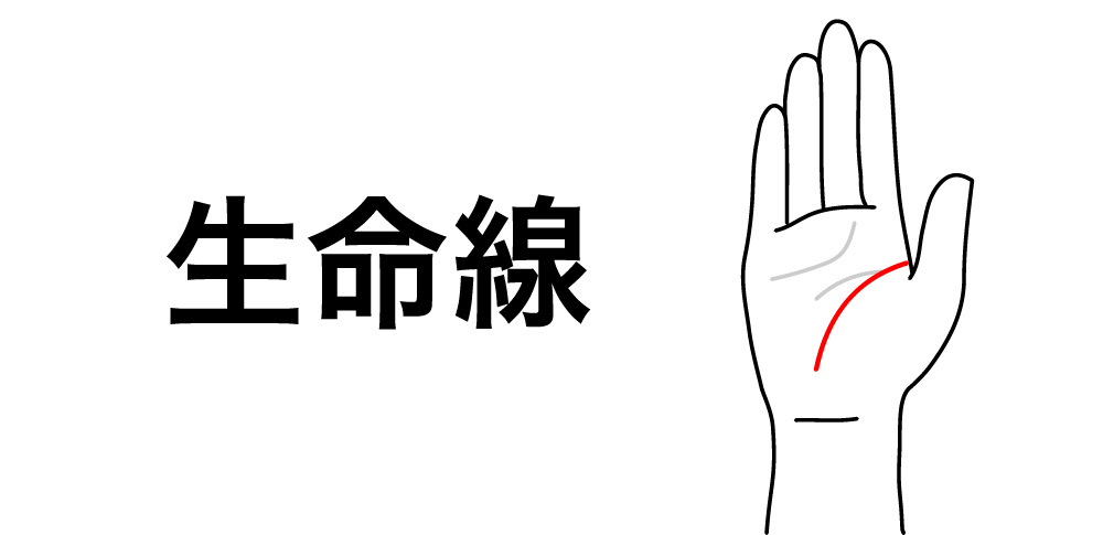 【生命線】手相でわかる運命と健康!人生を好転させる完全ガイド
