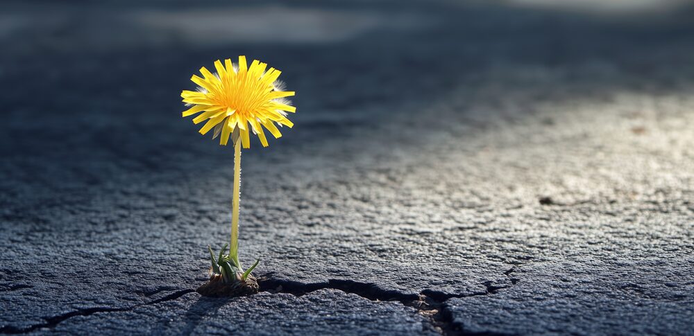 「孤相」が示すスピリチュアルな運命:あなたの個性を輝かせ、真の才能を開花させる7つの視点