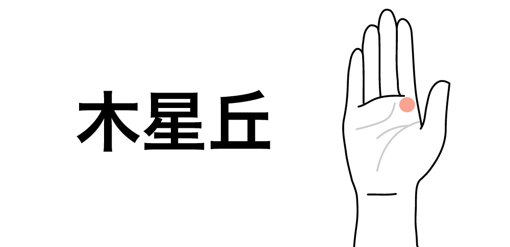 【木星丘】が教えるリーダー気質と成功への情熱|手相でわかるあなたの向上運と目標達成力