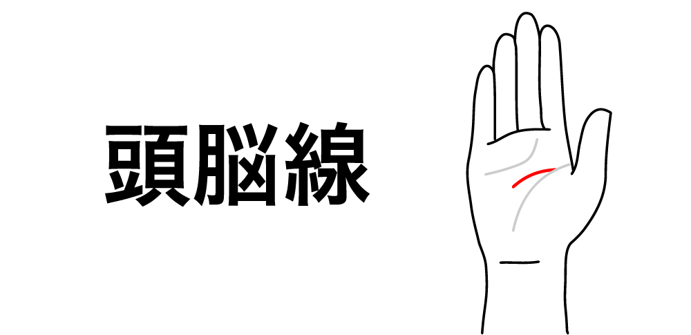 【頭脳線】考え方と成功パターン｜手相でわかるあなたの才能と未来をさぐる