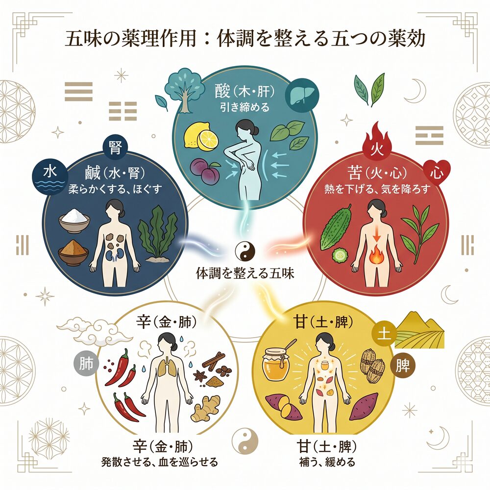 五味（ごみ）とは？薬膳や東洋医学での意味、五行・臓器との関係を徹底解説