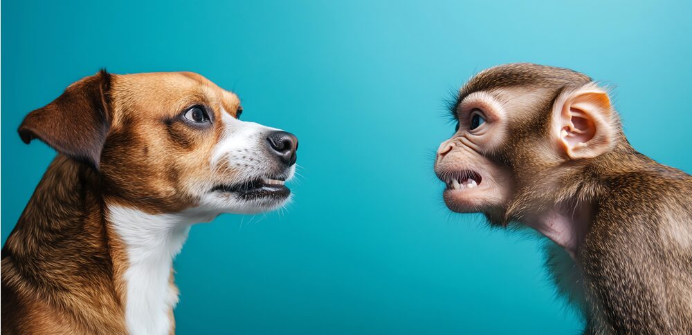 会いたくない人に会うスピリチュアルな意味|状況・場所・人物・色別の意味を徹底解説