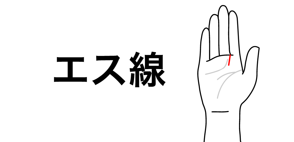 【エス線】が教える主導権・行動力・支配力・自己実現の強さ|“主導権と闘志”のサイン