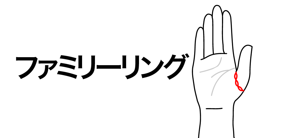 【ファミリーリング】が教える愛の循環を創る役割|親指の付け根に現れる“家族縁と絆”の手相サイン
