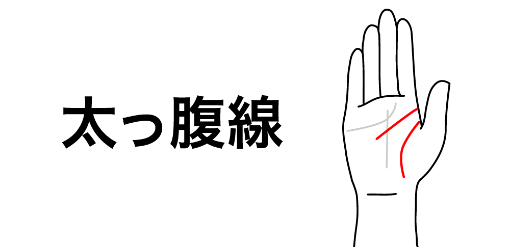 【太っ腹線】が教える堂々とした行動力|知能線と生命線の始まりが離れている人の“大らかな魅力”