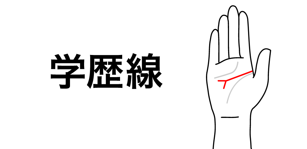 【学歴線】が教える今後の成長の道筋|知能線が教える“学びのスタイル”と才能の方向性