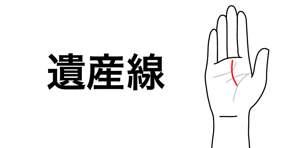 【遺産線】が教える財産や遺産を受け取るご縁|生命線から運命線が伸びる“財産を引き継ぐ手相”
