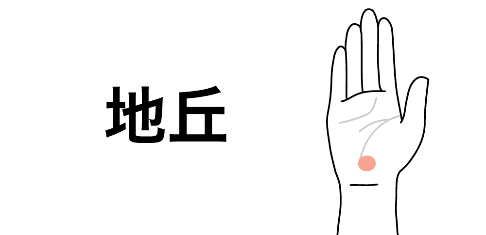 【地丘】が教える精神の安定と家系のつながり|手相でわかるあなたの土台運と安心力