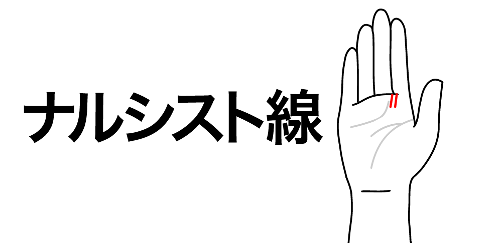 【ナルシスト線】が教える自己の内面を確立していく力|人差し指と中指の間に現れる“自己愛と自己表現”のサイン
