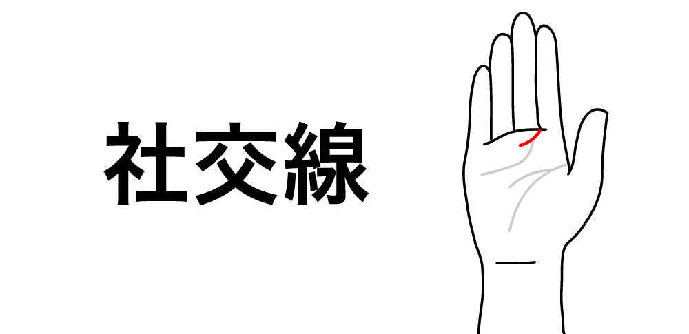 【社交線】が教えるご縁が人生を変える人|手相でわかる人間関係の才能とご縁を広げる“交流の線”