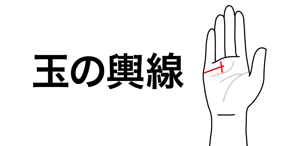 【玉の輿線】が教えるパートナーの運命をも照らす光の存在|手相に現れる“人生逆転のご縁”サイン