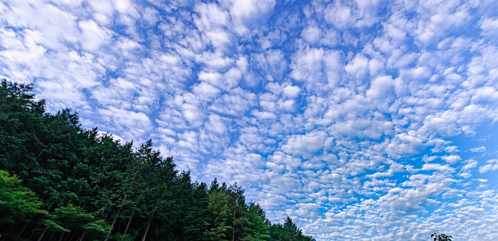 【うろこ雲】のスピリチュアルな意味 天空からのメッセージを読み解き、幸運と変化を引き寄せる5つの洞察