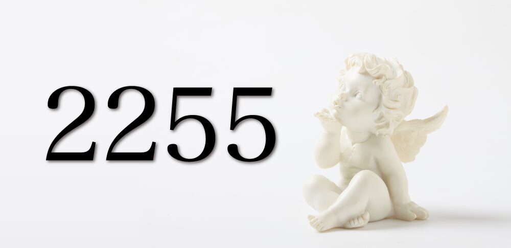 【2255】エンジェルナンバーが示す意味｜