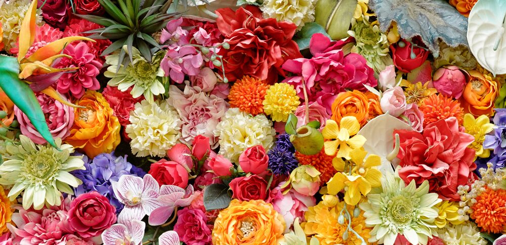 花のタイプでわかる!あなたの性格と恋愛傾向が丸わかりな植物診断
