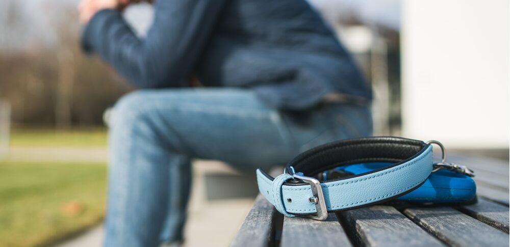 ペットの死のスピリチュアル的な意味は？｜状況・サイン・心の変化別など25選を解説