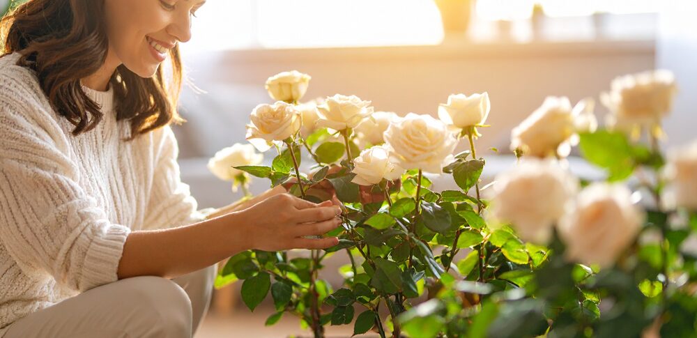 恋愛運を高める花と植え方|植物を育てながら運命の恋を育てる方法
