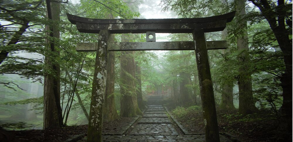 大祓詞(おおはらえのことば)の真髄:日本人の魂に宿る浄化の力と運気を劇的に好転させる智慧