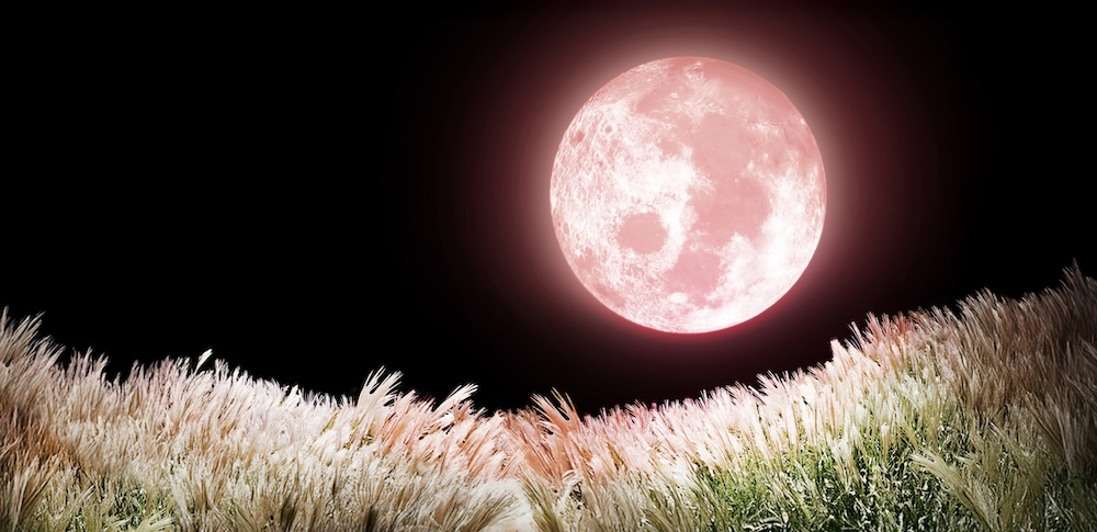 【6月】ストロベリームーン(Strawberry Moon) のスピリチュアルな意味とは? 恋愛成就と真実の愛を育む満月