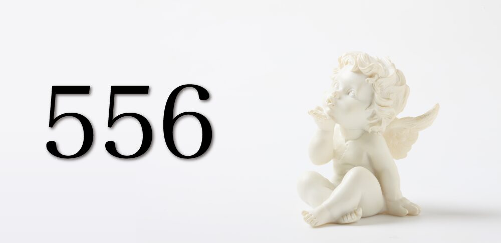 【556】エンジェルナンバーが示す意味|あなたの人生に大きな変化が訪れており、その変化が物質的な心配を手放すことで、より良い現実を創造する