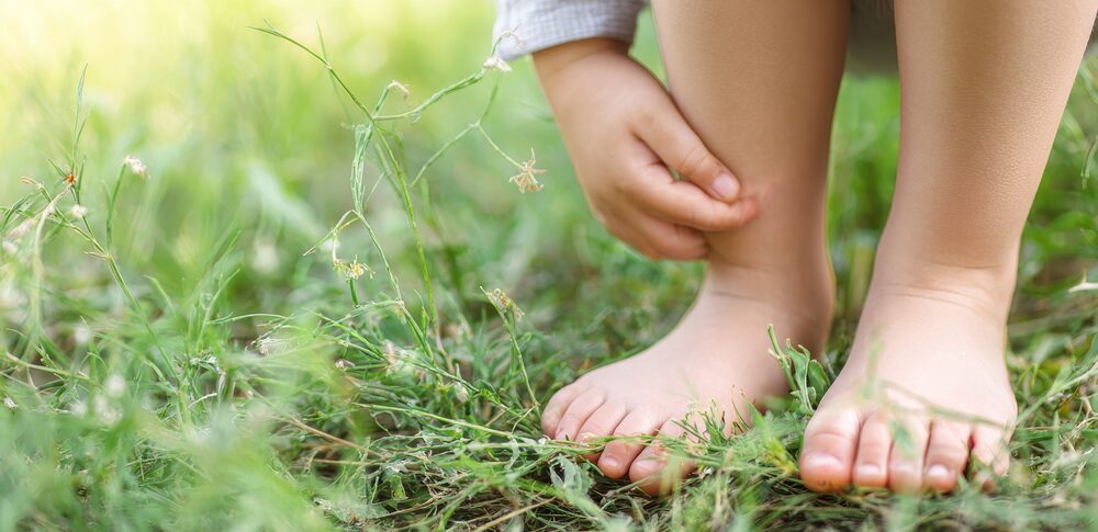 【夢占い】虫に噛まれる夢｜意味・メッセージなど13選を解説