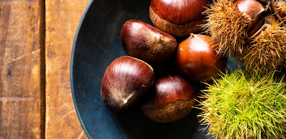 【夢占い】栗の夢｜意味・メッセージなど20選を解説