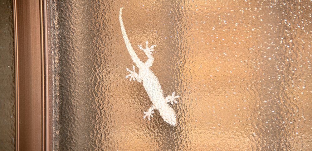 白いヤモリのスピリチュアル的な意味は？｜状況・場所・時間別など30選を解説