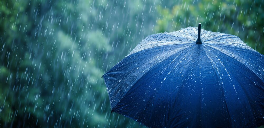 雨の匂いがわかる人のスピリチュアルな意味とは？敏感さの理由と整え方